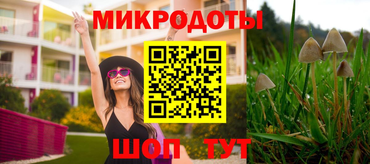 Галлюциногенные грибы мицелий  Вход с VPN  Лесозаводск  Галлюциногенные грибы Cubensis 